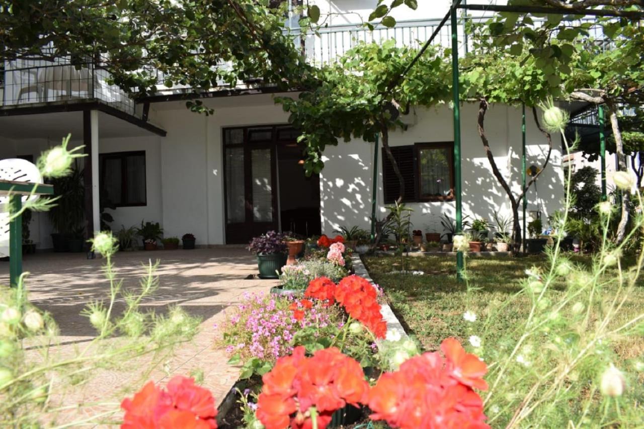 Apartments Marina Bečići Dış mekan fotoğraf