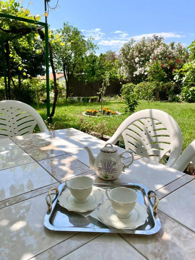 Apartments Marina Bečići Dış mekan fotoğraf
