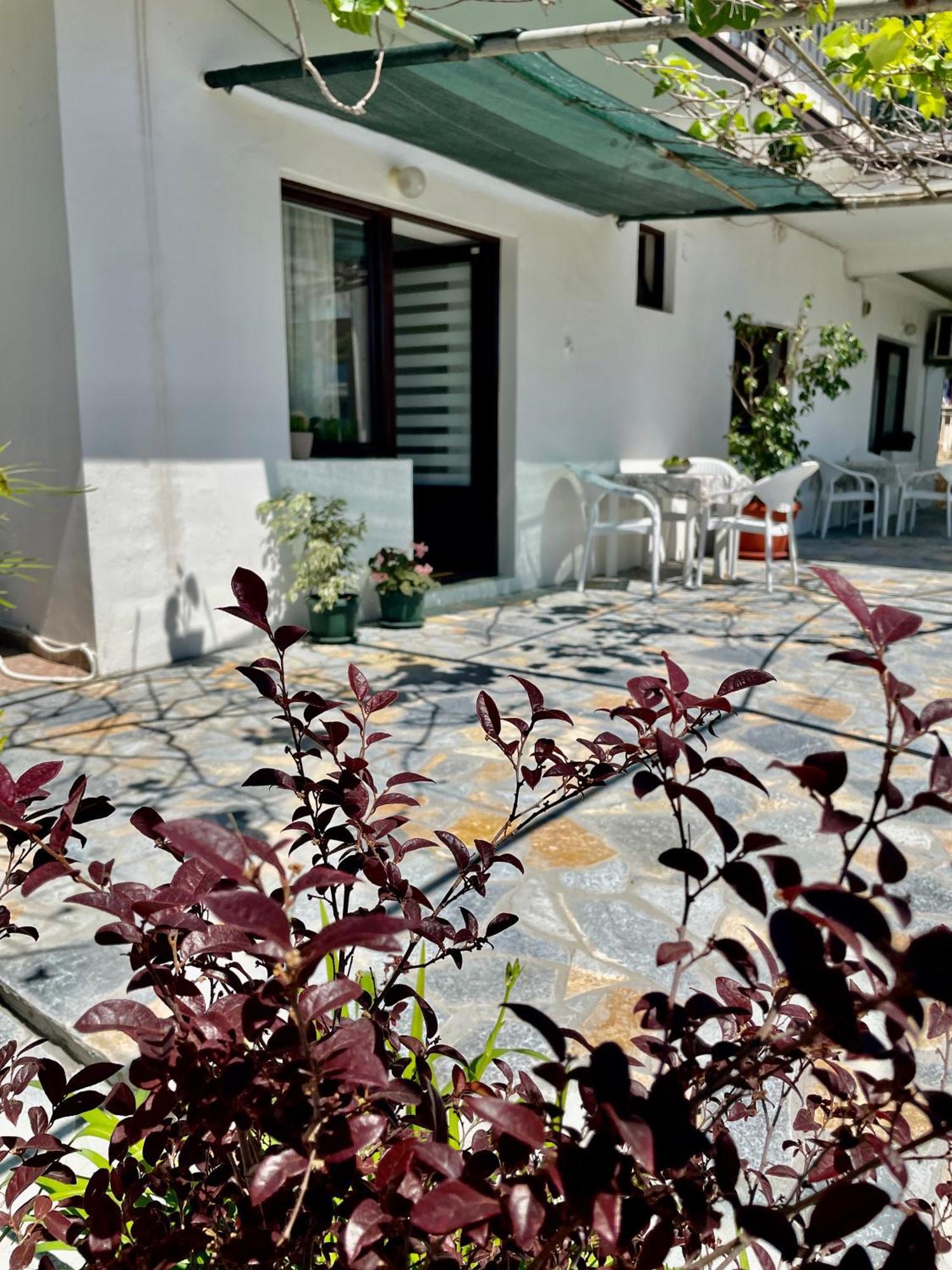 Apartments Marina Bečići Dış mekan fotoğraf