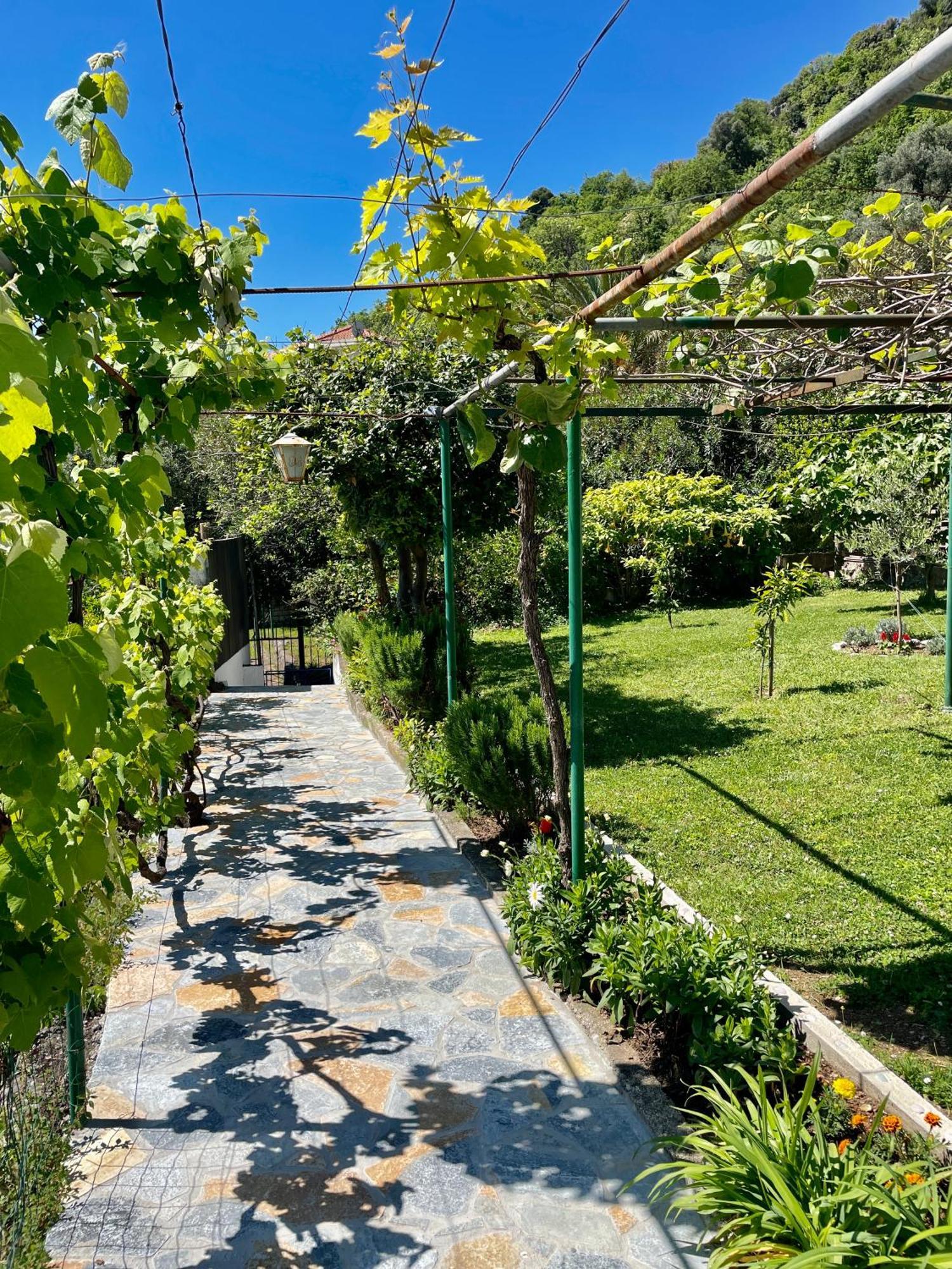 Apartments Marina Bečići Dış mekan fotoğraf