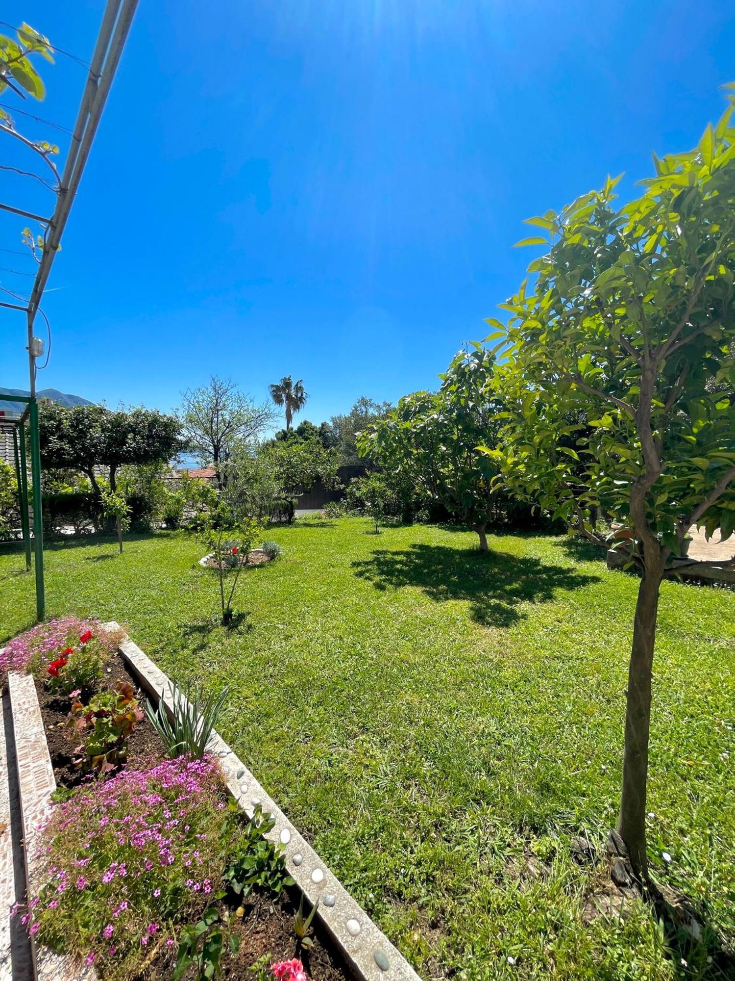 Apartments Marina Bečići Dış mekan fotoğraf