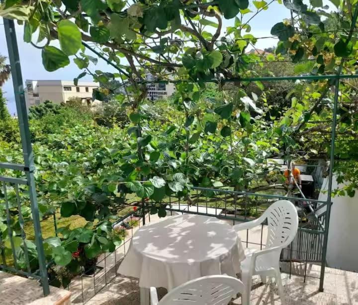 Apartments Marina Bečići Dış mekan fotoğraf
